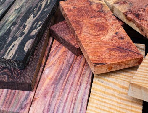 THE SCIENCE OF WOOD: DIFFERENT WOOD TYPES